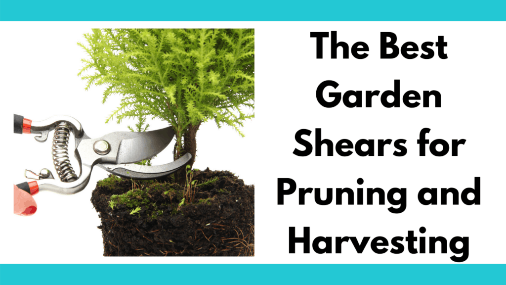 Text reads "The best garden shears for pruning and harvesting." To the left is a photo of a person holding a garden pruner and cutting the stem of a small shrubby plant from a mossy pot.