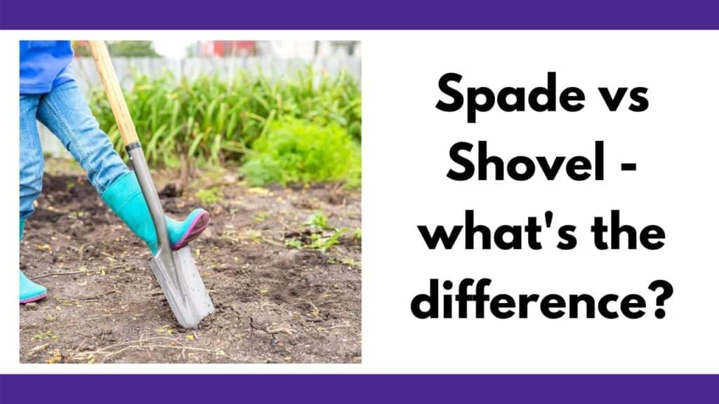 text "spade vs shovel - what's the difference?" with a person wearing bluejeans and a boot stepping down on a shovel.