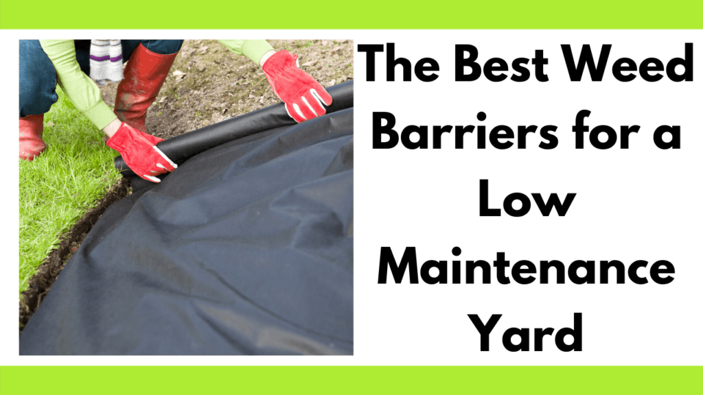 Text reads "The best weed barriers for a low maintenance yard" to the right of a photo of a person with red rain boots, blue jeans, a lime green long sleeve shirt, and red gloves pulling a weed barrier over a scalped patch of yard. Adjacent to the weed barrier is a perfectly green lawn. Photo and text are between two lime green bars, one on top and one on bottom.