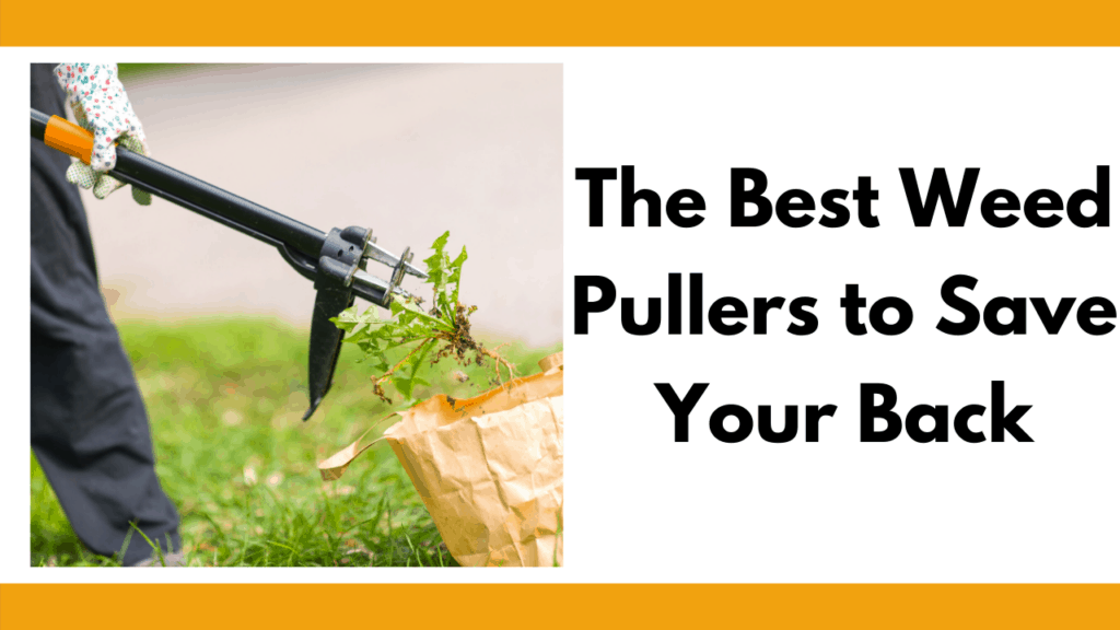 Text reads "The best weed pullers to save your back" in bold black letters. To the left of the letters is a photo of a person with black pants and cloth garden gloves using discarding a weed from their stand-up weed puller into a brown paper bag. Background setting is on the side of a person's driveway.