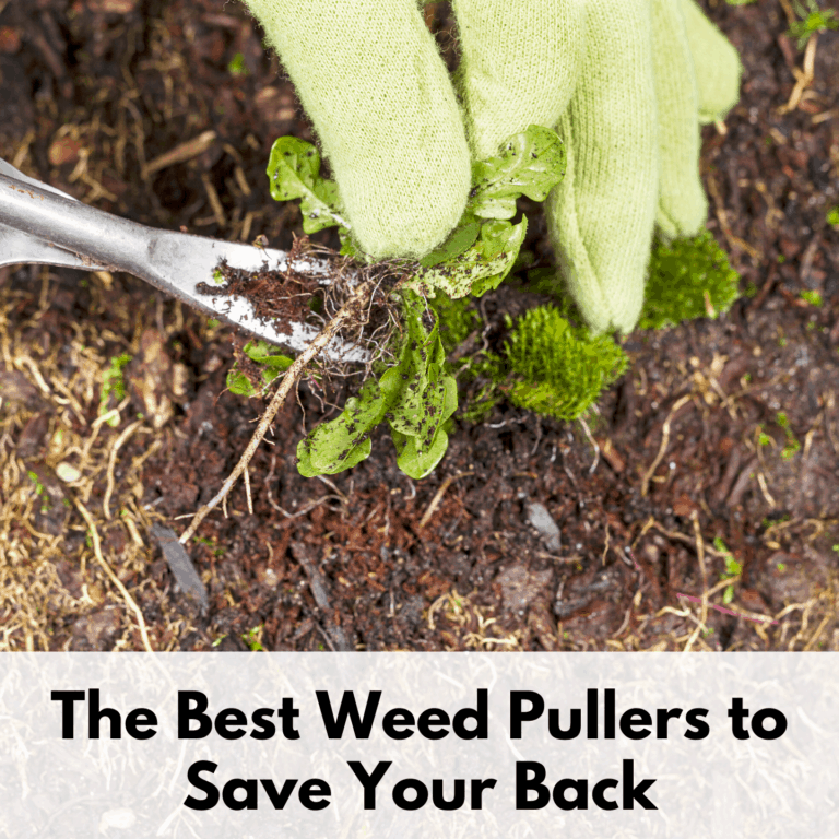 Text reads "the best weed pullers to save your back" in bold black letters on a transparent white text box. Photo above is of a person with green cloth garden gloves using a weed puller to remove a weed from a patch of dirt.