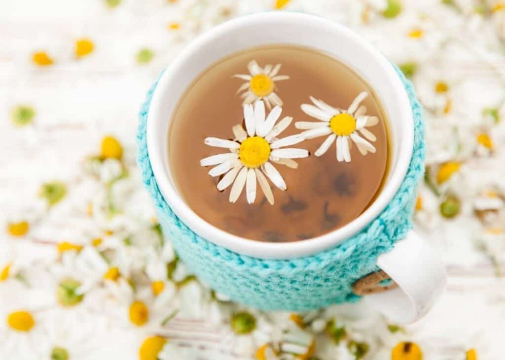 A top down view of a cup of chamomile tea. The tea is in a white mug with a teal knitted mug cozy.