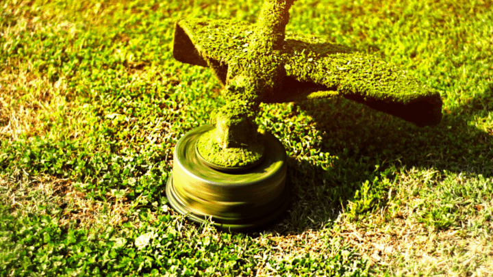 Text reads, "The best electric weed eaters" on a white background text box. Above is a phot of a weed eater trimmer the last bit of long grass on a yard. The weed eater trimmer head and shroud are covered in grass clippings.