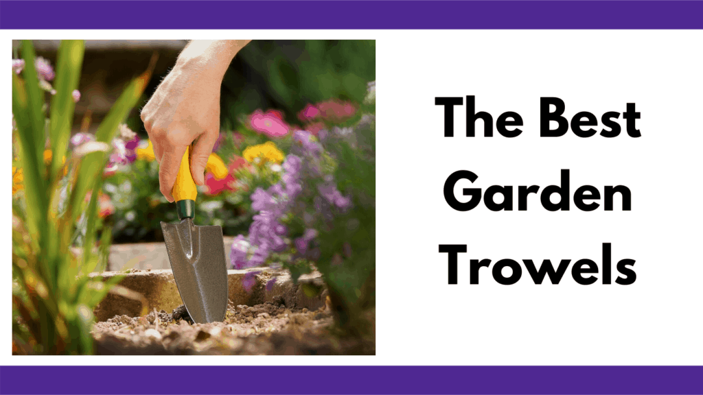 Text reads "the best garden trowels." To the left is a photo of a person digging a garden trowel, with a yellow handle, into the ground of a raised bed garden. The surrounding plants are flower plants. The photo and text box are surrounded by two horizontal purple bars.