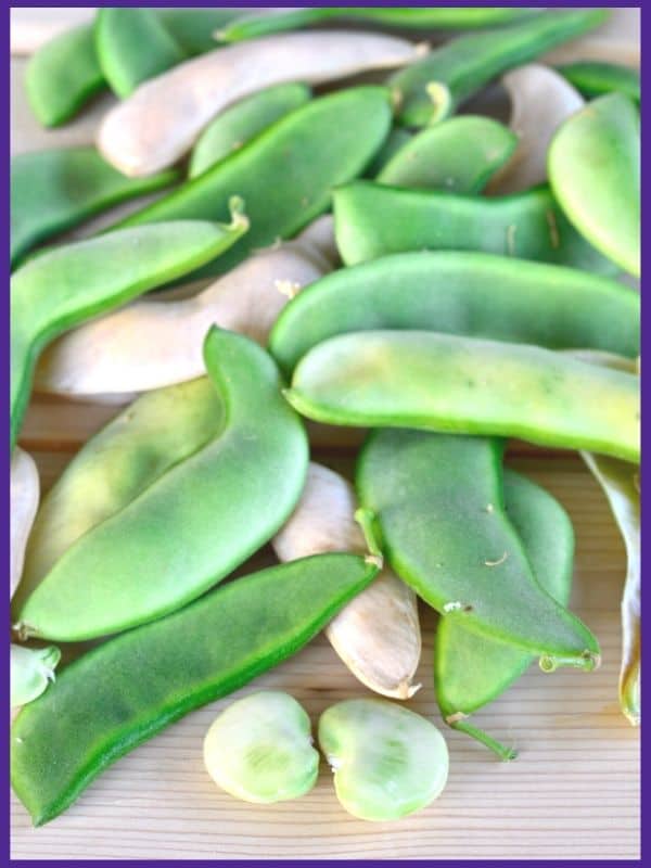 A wood surface with freshly picked green lima bean pods and shelled lima beans