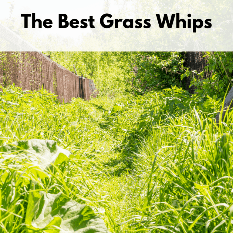 Text box at the top of the photo reads, "The best grass whips." Photo below is of a an overgrown trail with grass encroaching on the trail from the left and right of the path.
