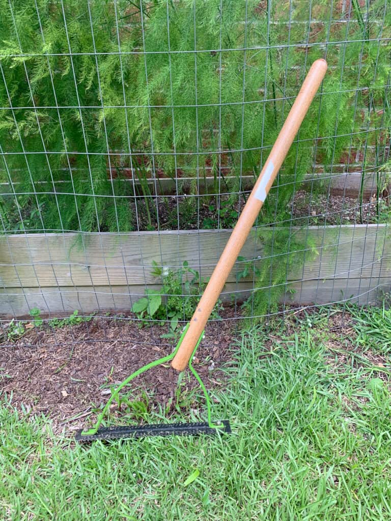 An Ames grass whip leaning against an asparagus bed