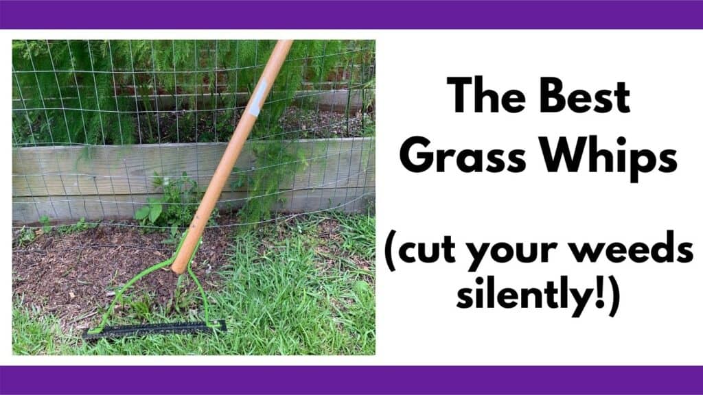 Test "the best grass whips (cut your weeds silently!)" next to a picture of an Ames weed whip leaning against an asparagus bed.