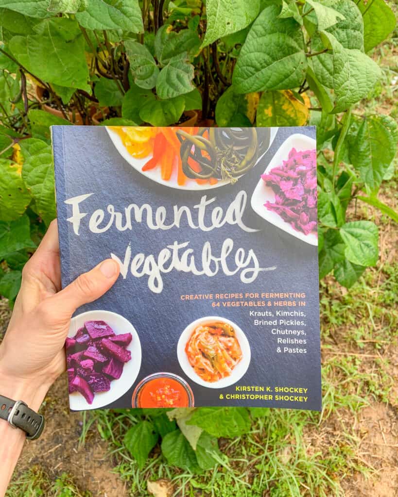 A hand holding a book "Fermented Vegetables" in front of a vertical bean planter