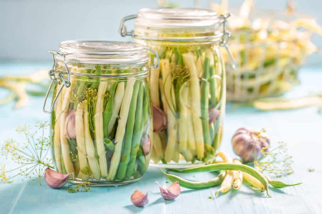 Two jars of dilly green beans. The beans are in glass jars with fresh dill and garlic
