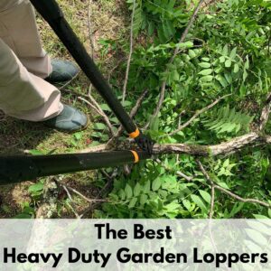 text overlay "the best heavy duty garden loppers" above an image with a person using black garden loppers to cut a walnut tree branch