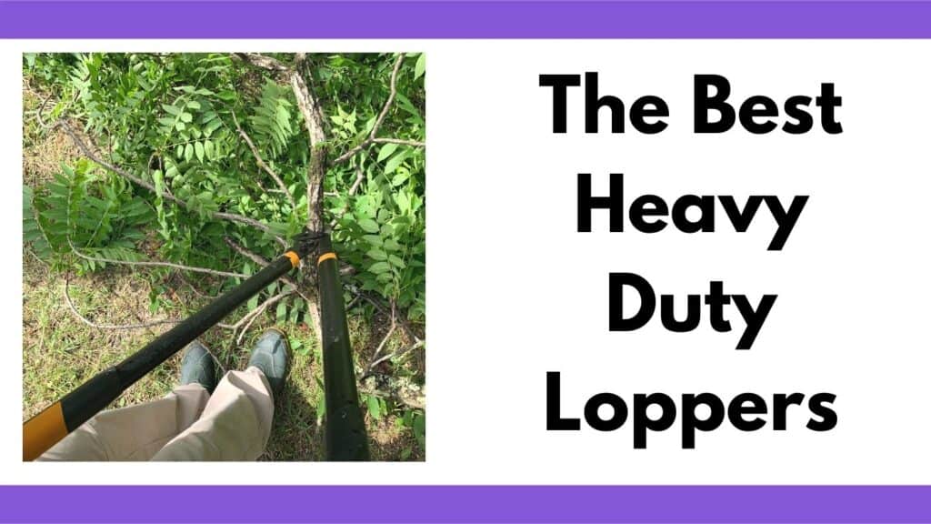 text "the best heavy duty loppers" next to an image of a person using black handled loppers on a walnut branch