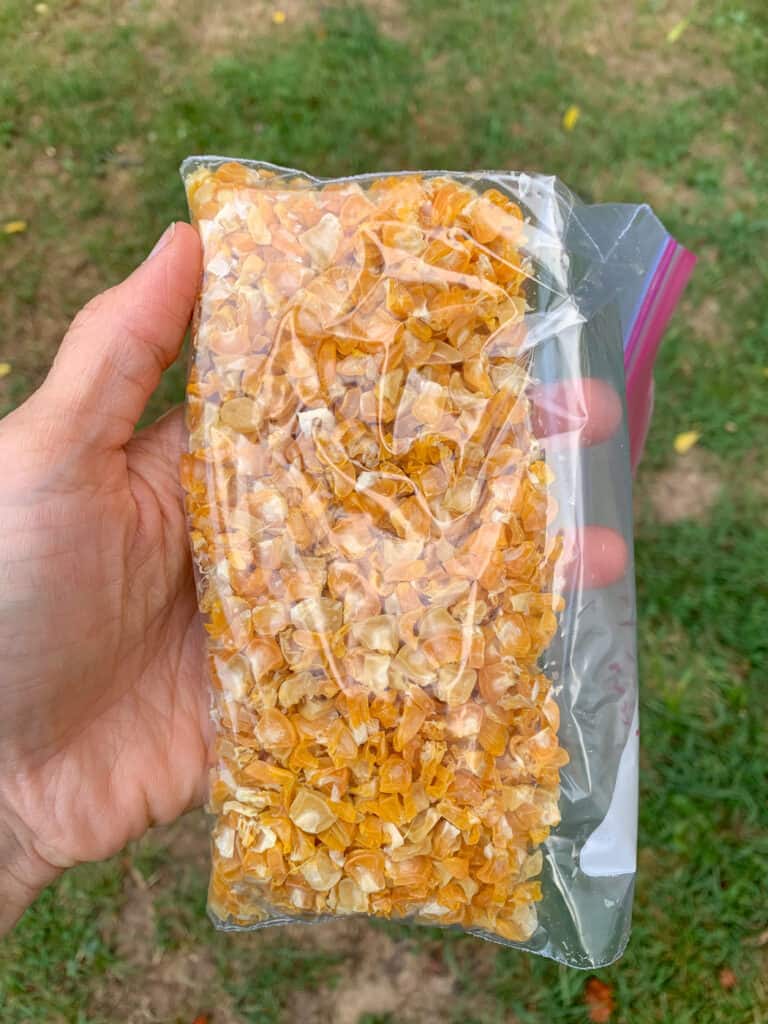 A hand holding a zip top bag with dehydrated corn