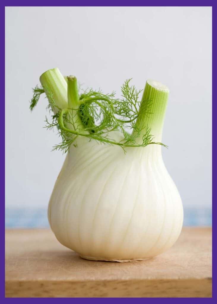 A harvested and cut fennel bulb sitting on a cutting board and ready for storage or cooking