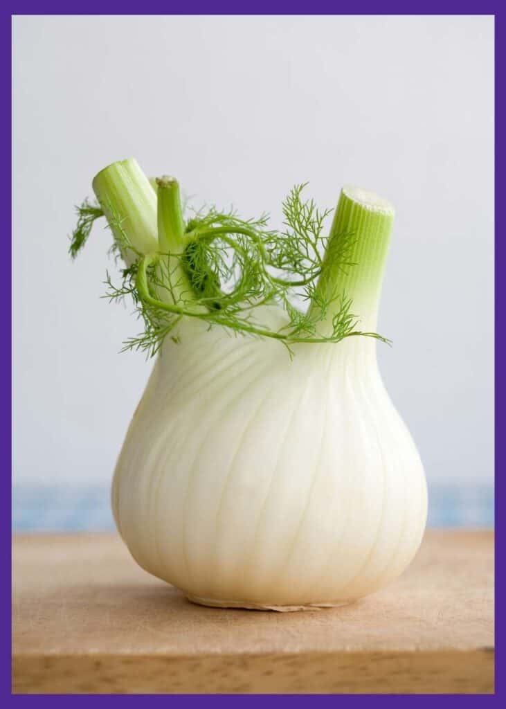 A close up of a harvested fennel bulb on a cutting board. The tops have been trimmed off and the outer layers of the bulb peeled way.