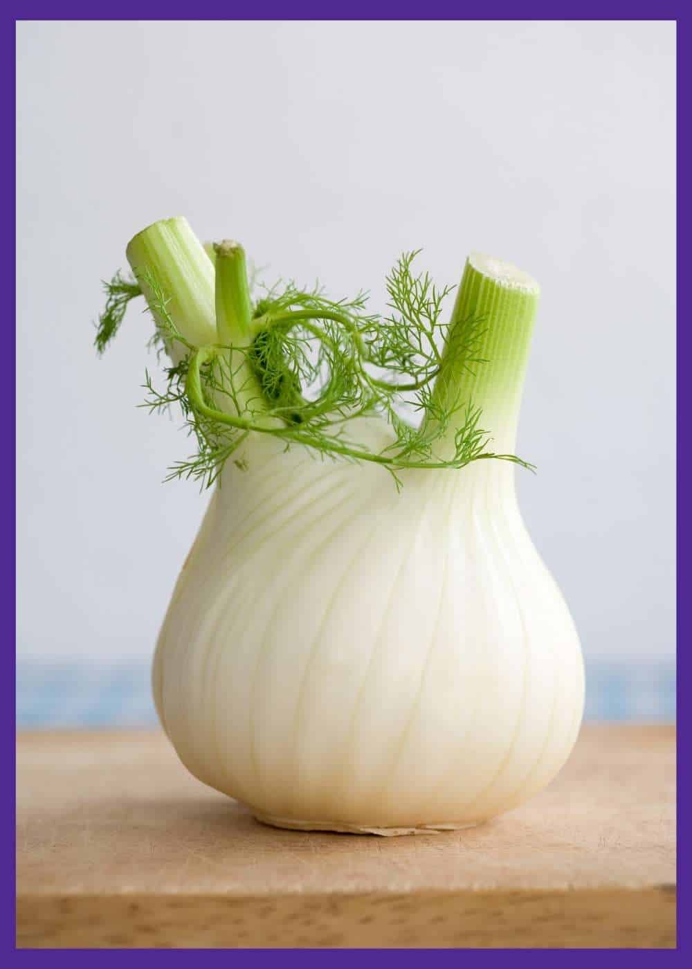 Growing Fennel How to Plant and Grow Fennel from Seed Together Time