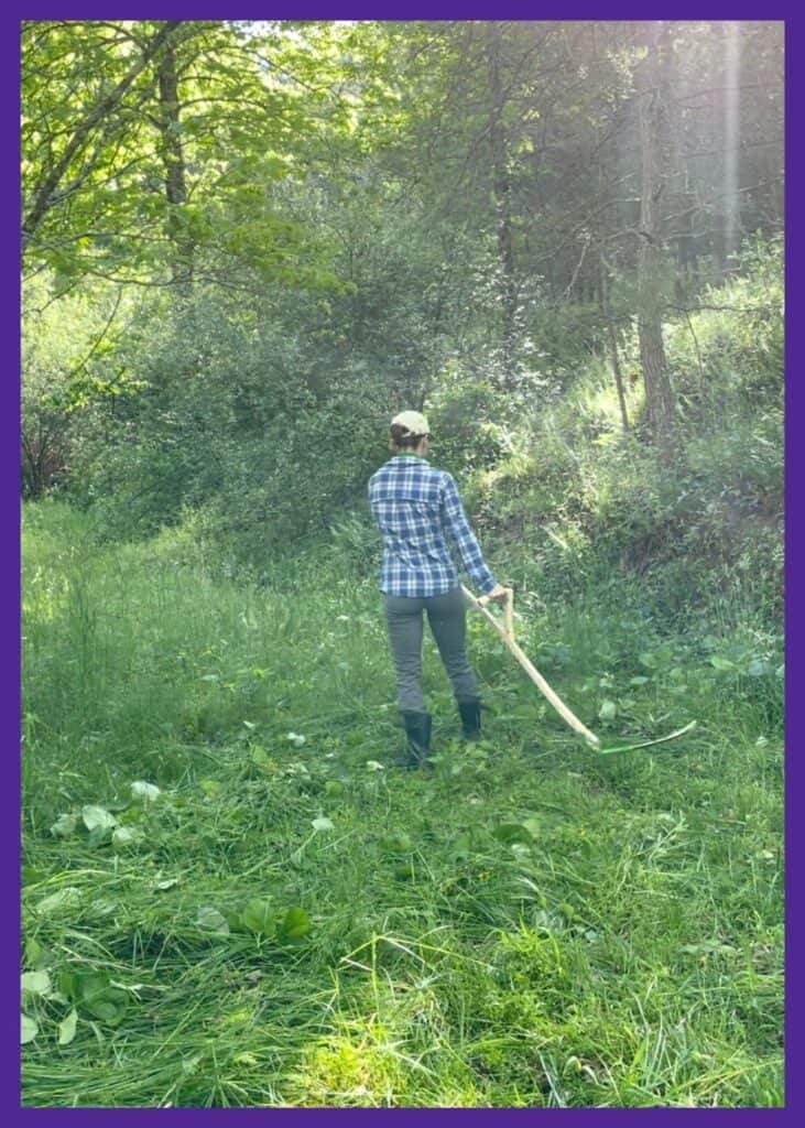 A woman in a blue plaid shirt and grey pants mowing grass with a scythe.