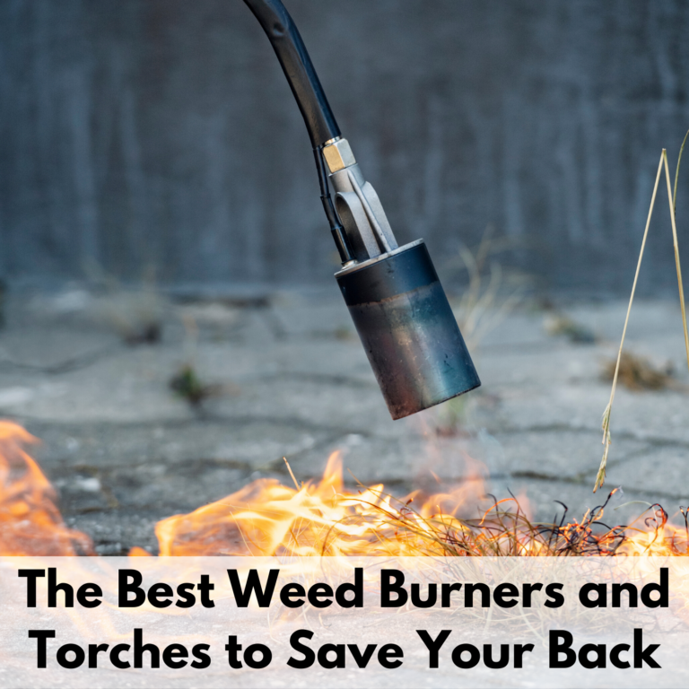 Text reads, "The best weed burners and torches to save your back." The text is on a white text box at the bottom of a photo. The photo is of a weed torch burning a patch of weed grass. The background is a gray landscape and is out of focus.