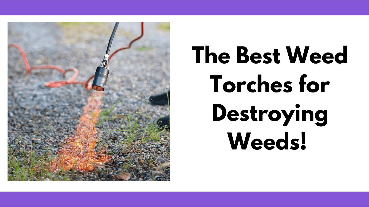 The Best Weed Torches Together Time Family   Weed Torch 