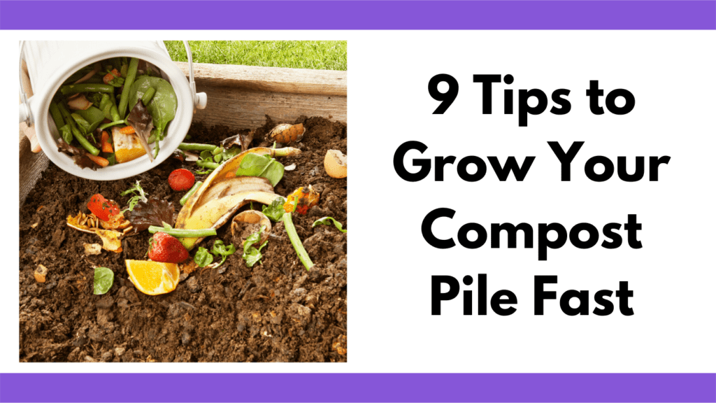 Text reads, "9 tips to grow your compost pile fast." To the left of the text box is a photo of dirt in a compost bin and a person is pouring in kitchen scraps into the dirt pile. There are multiple fruits and vegies being poured into the pile. The compost bin is made of a light wood.