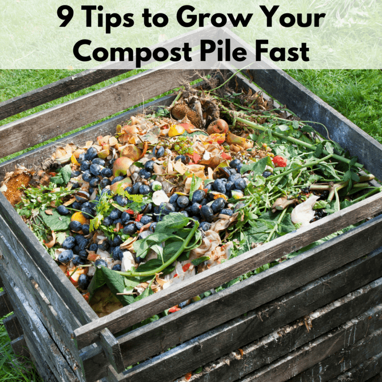 Text reads, "9 tips to grow your compost pile fast." The photo below the text is of a compost pile filled with lots of kitchen scraps like berries, green leafy veggies, and other kitchen scraps. The compost bin is of old weathered wood.