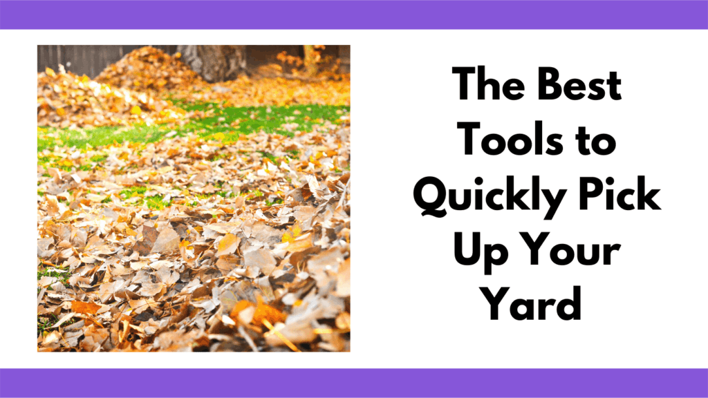 Text reads, "the best tools to quickly pick up your yard." To the left of the text is a photo of autumn leaves littered on a green grass field. In the background are multiple leaf piles.