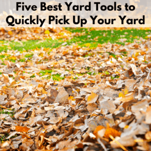 Text reads "five best yard tools to quickly pick up your yard." Below the text box is a photo of a green lawn littered with autumn leaves.