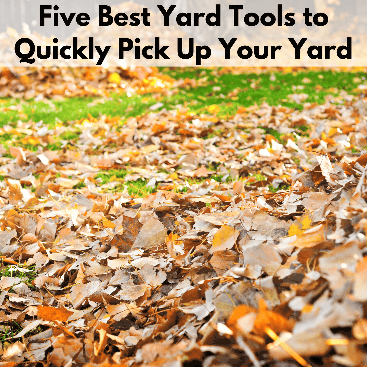 How to Pick up Leaves Quickly Together Time Family