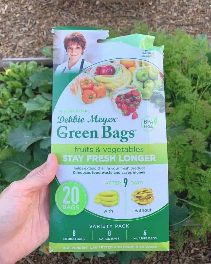 debbie meyer green bags 20-pack (8m