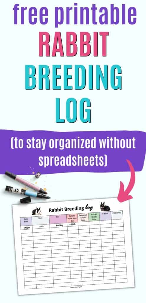 Text "free printable rabbit breeding log (to stay organized without spreadsheets)" above a preview of a printable rabbit breading log with space to record information about breeding, parentage, dates, and litter size. The first line of the chart is partially filed in with date: 11/20, Dam: Uno, Sire: Bucky, Nest box 12/18, Expected Kindle 12/20.