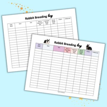 A preview of two printable rabbit breeding log pages with space to record parents, dates, and results. The page in front has colorful column headers and the page behind is black and white.