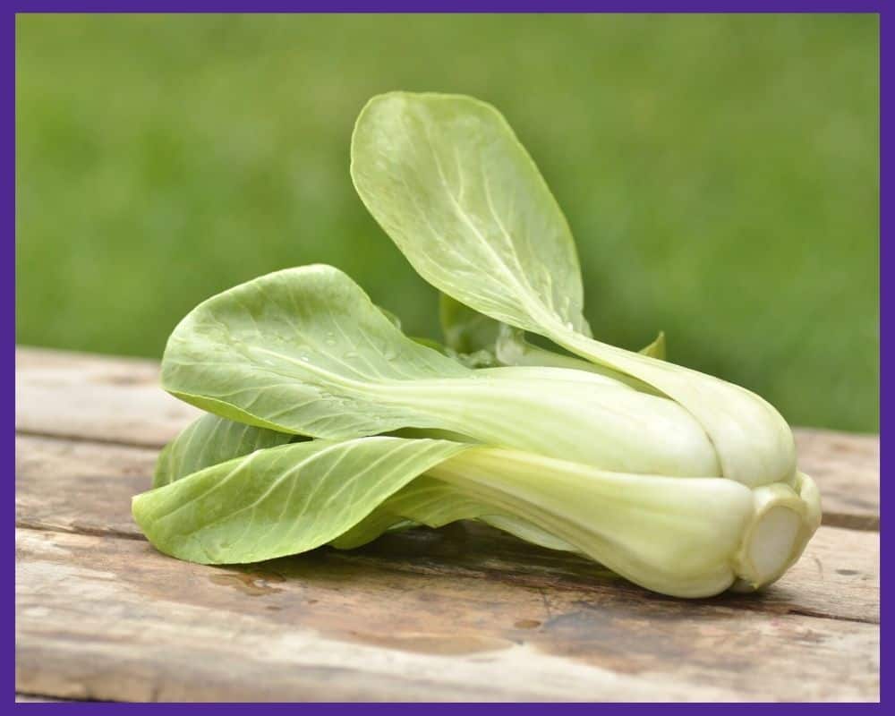 A harvested baby bok choy on a wood surface
