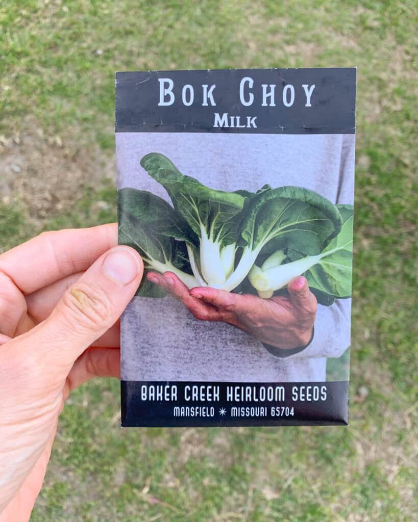A hand holding a package of bok choy seeds from Baker Creek Heirloom Seeds