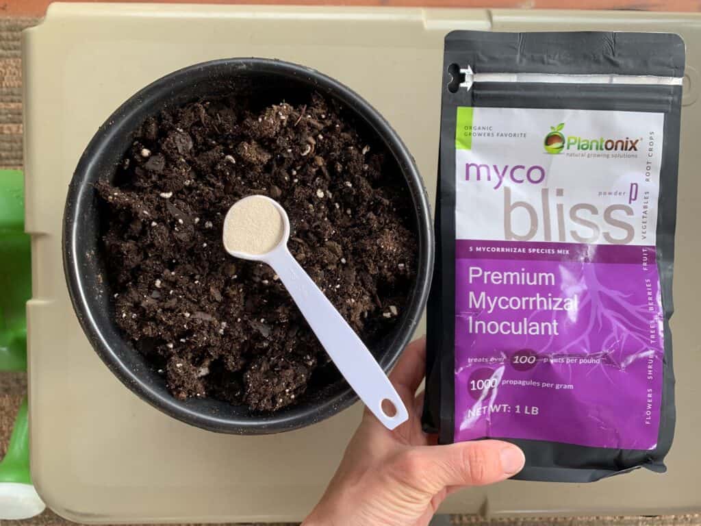 a teaspoon of myco bliss powder with a gallon of potting soil