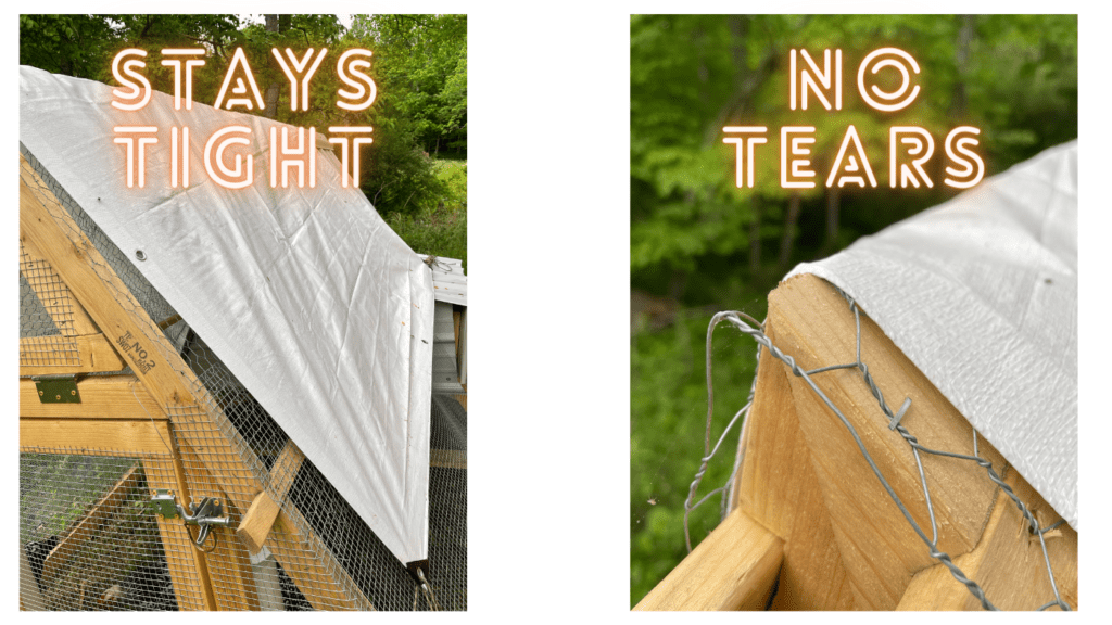 There are two photos. The text of the left photo reads, "Stays Tights" in a bright neon font. The photo is of a white heavy duty tarp stretched out over a chicken coop. The text of photo on the right reads, "No Tears." The photo is a close up of a the same white tarp at the top of the coop where wire and a sharp wooden corner is. The tarp is tightly stretched without any rips.