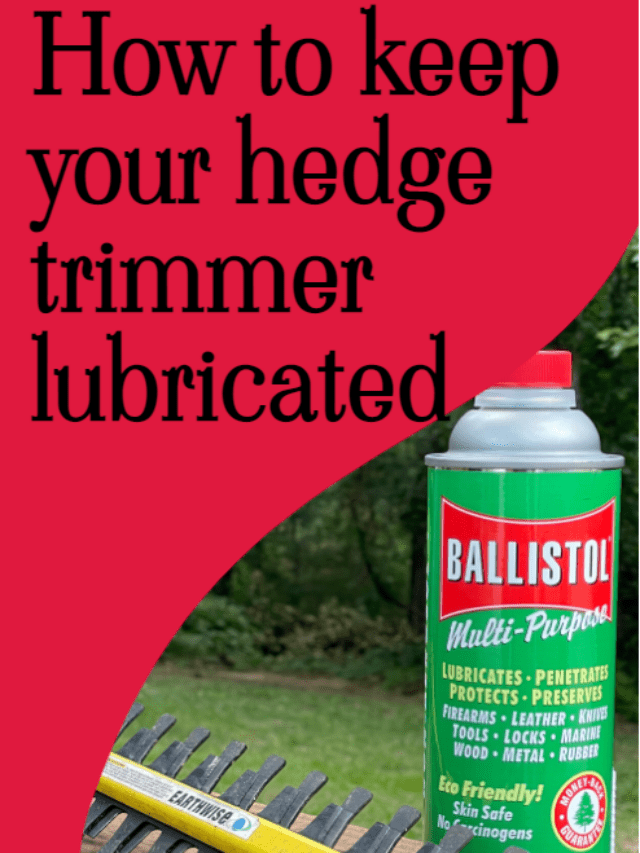 How to keep your hedge trimmer lubricated