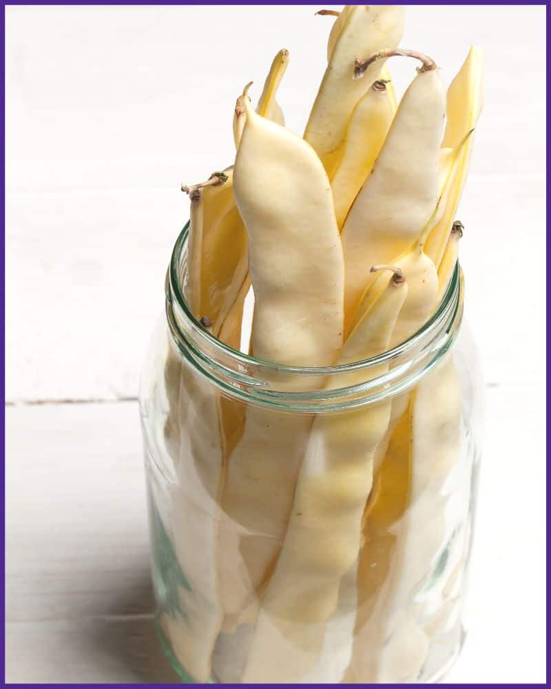 A handful of dry, harvested kidney bean pods in a jar