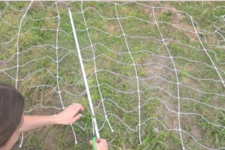 A woman using scissors to cut strands on an electric fence