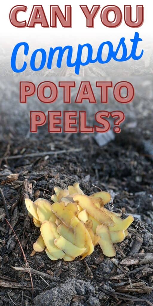 Text overlay "can you compost potato peels" on a picture of potato peels sitting on finished compost