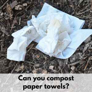 Text overlay "can you compost paper towels" over a picture of paper towels on a pile of finished compost