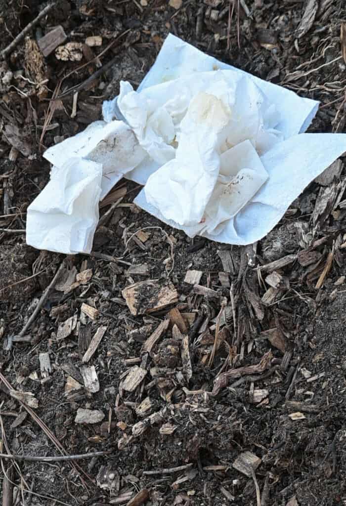 a picture of paper towels on a pile of finished compost