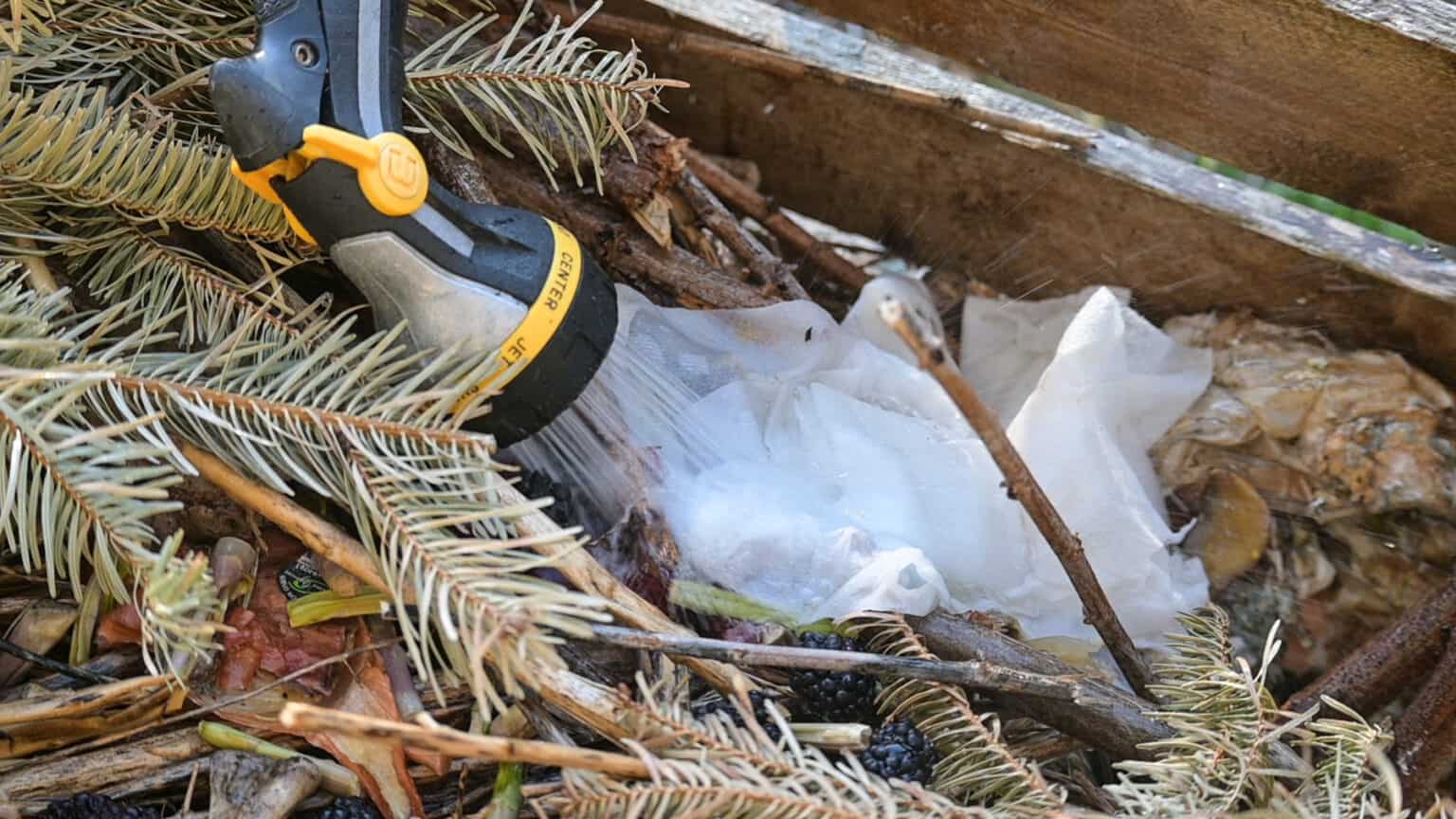 Can you Compost Paper Towels? Together Time Family