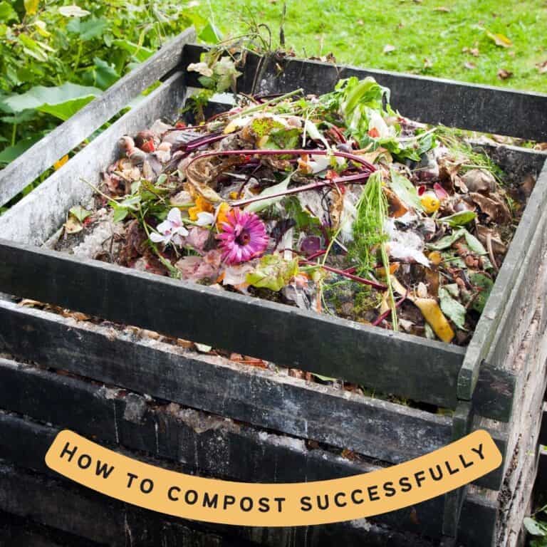 text "how to compost successfully" over top of an image of a home compost pile