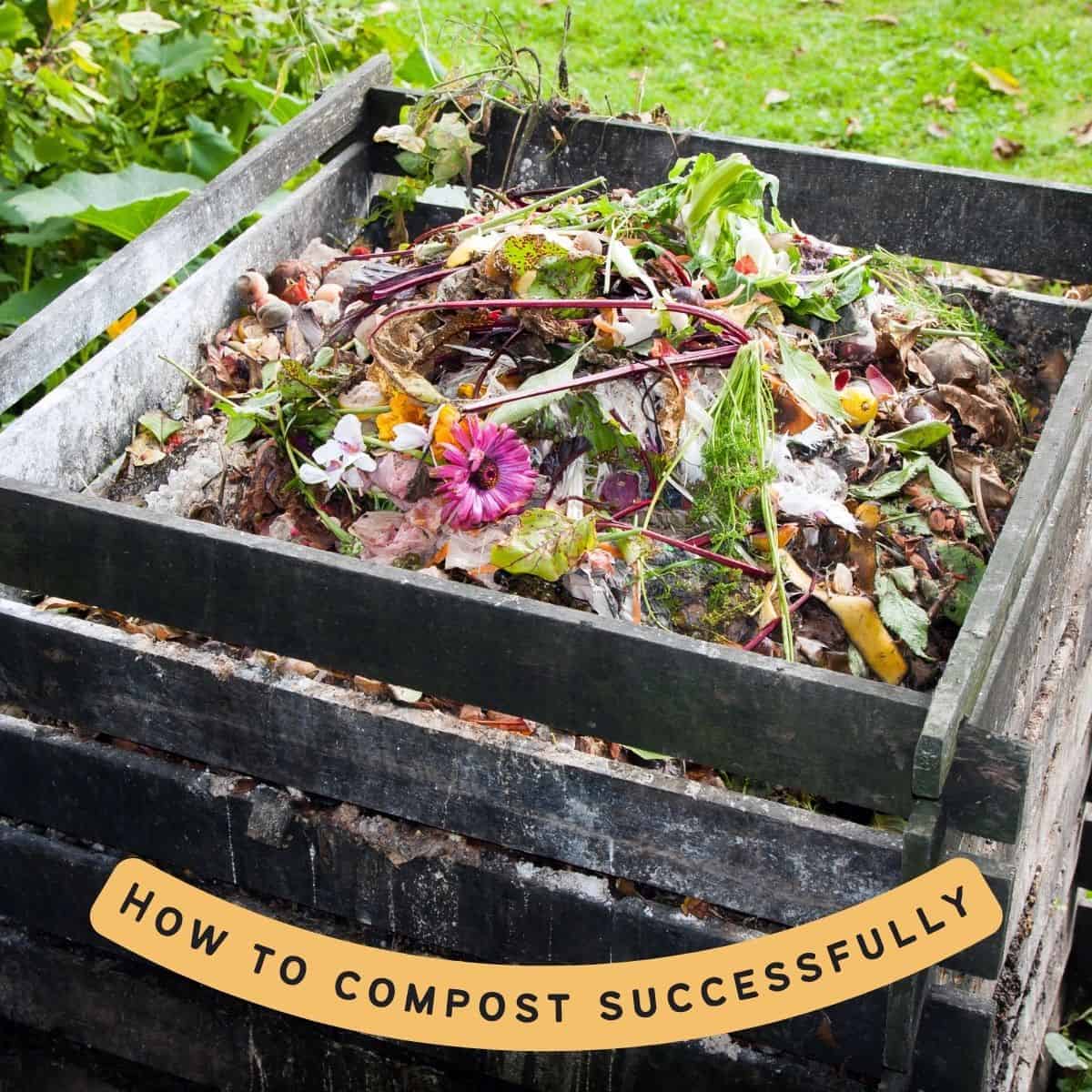 text "how to compost successfully" over top of an image of a home compost pile