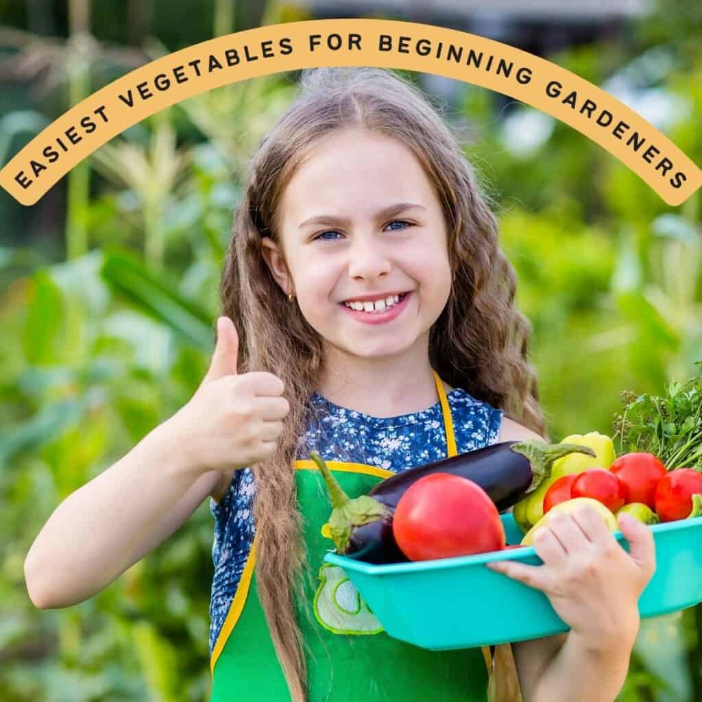 text "easiest vegetables for beginning gardeners" with a picture of a girl in a garden with a crate of produces 