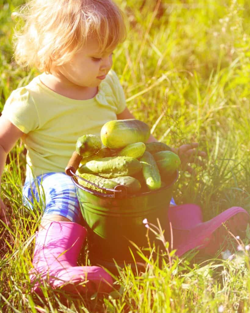 A child holds a basket of freshly harvested cucumbers in a lush garden setting, illustrating the concept of growing cucumbers in containers and gardening vegetables at home.
