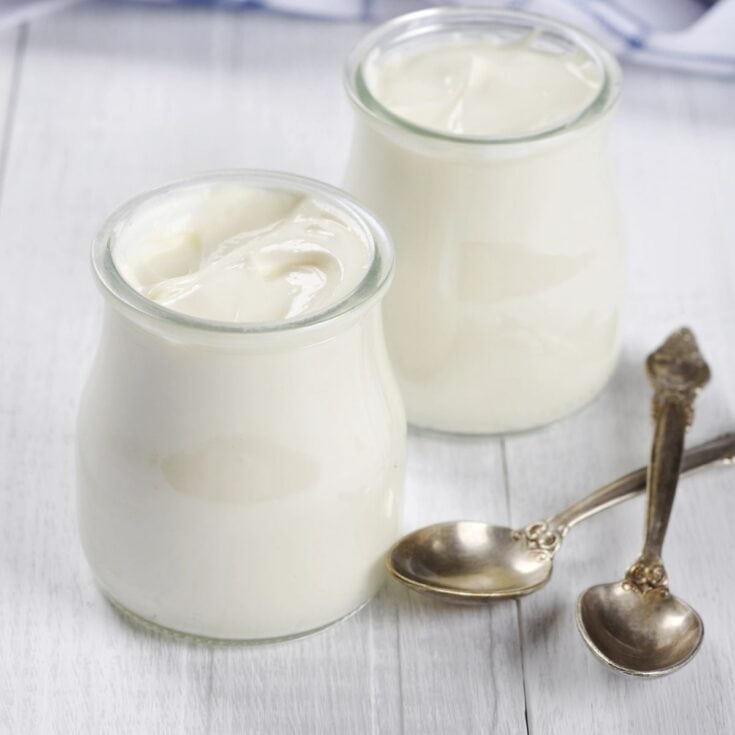 two small glass jars of creamy homemade yogurt