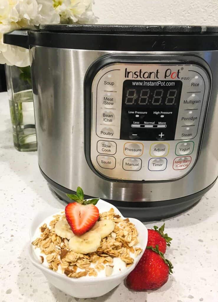 instant pot with a bowl of yogurt